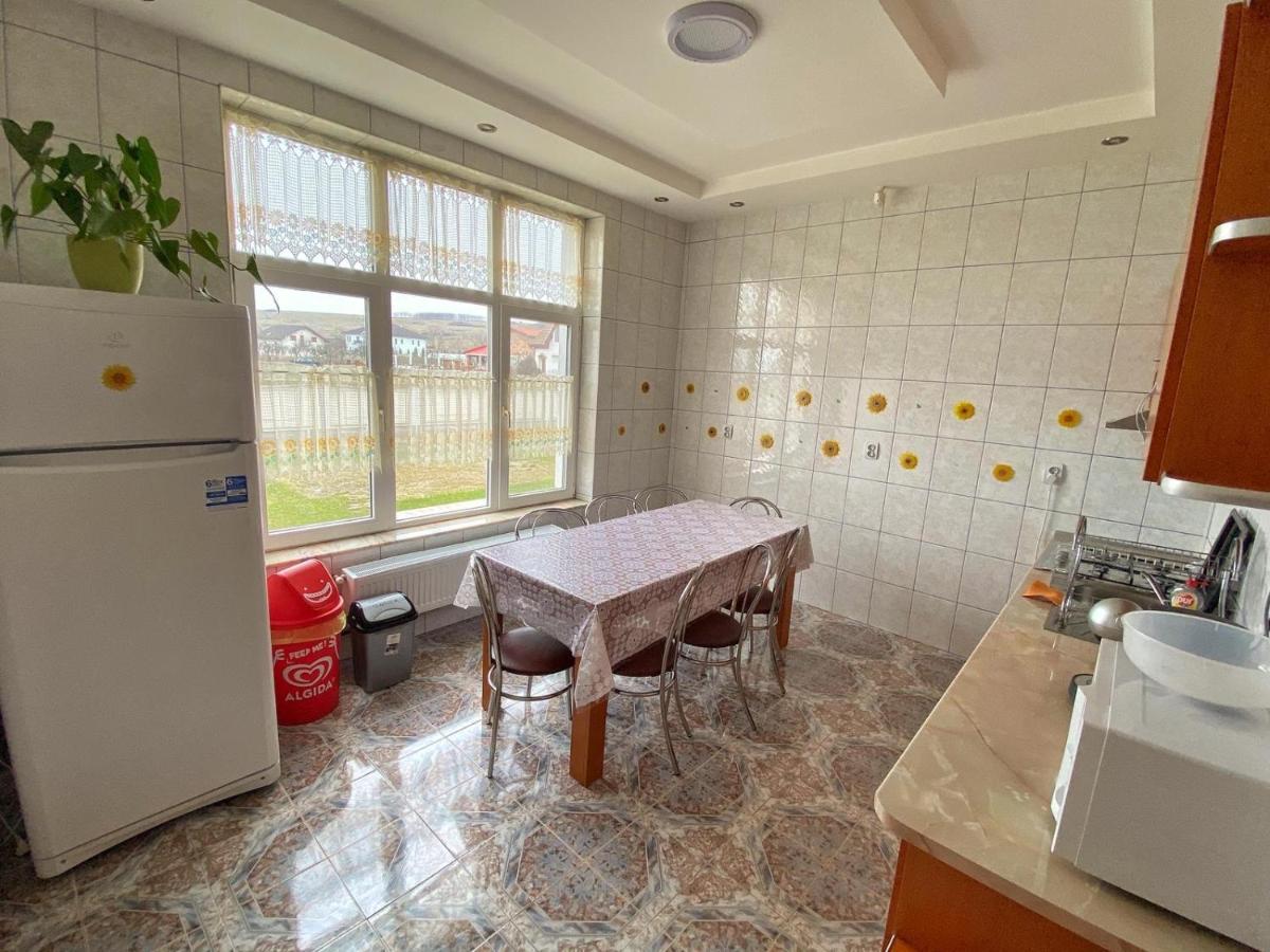 Vila Nei Lugoj Extérieur photo