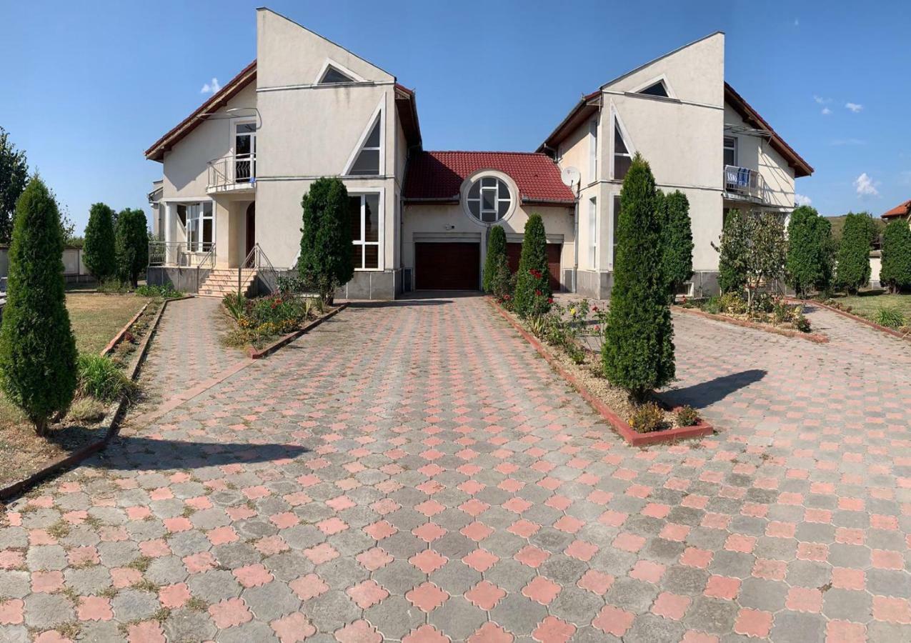 Vila Nei Lugoj Extérieur photo